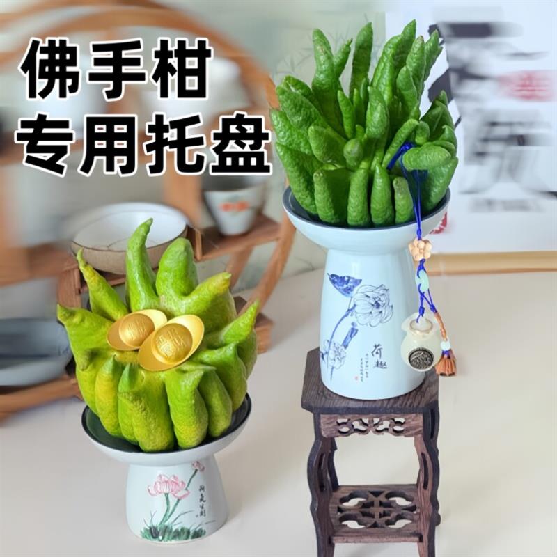 佛手柑专用托盘古风禅意青花瓷蝴蝶兰多肉容器盆观赏佛手瓜摆厂家