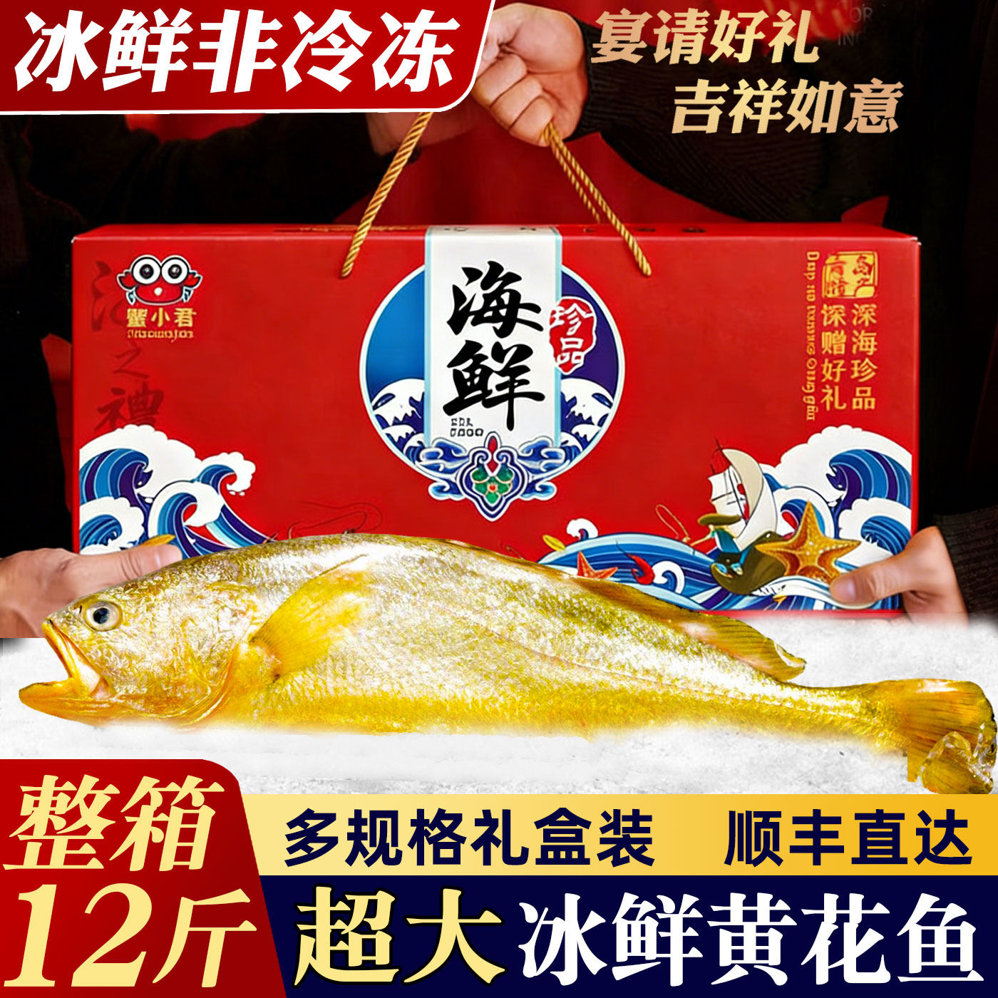 大黄鱼礼盒舟山深海大黄鱼新鲜特大非冷冻青岛海鲜海鱼黄鱼特产