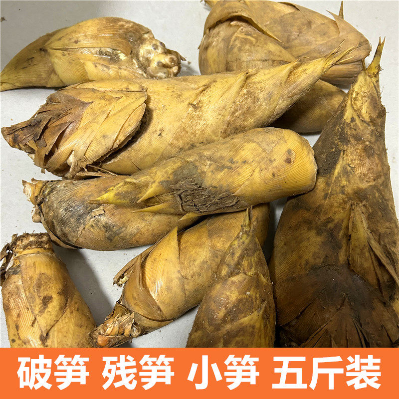 现挖新鲜冬笋鲜笋农家现挖现发冬笋黄泥拱笋尖破笋残笋小笋5斤装