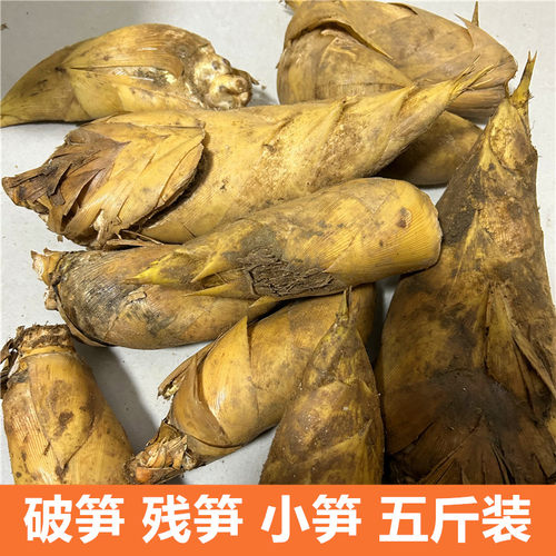 现挖新鲜冬笋鲜笋农家现挖现发冬笋黄泥拱笋尖破笋残笋小笋5斤装