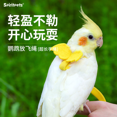 鹦鹉外出牵引绳虎皮牡丹玄凤专用