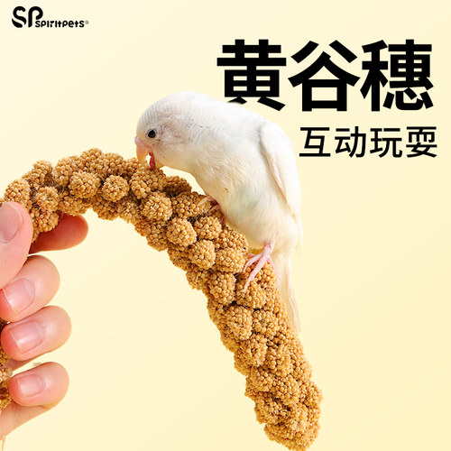 鹦鹉谷穗带壳黄谷子小米