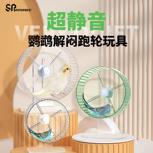鹦鹉跑轮虎皮小鸟的锻炼
