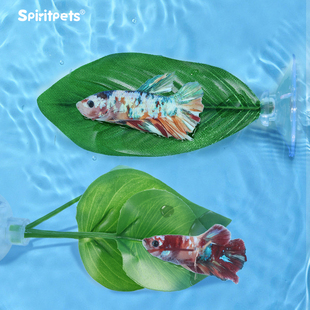 泰国斗鱼床睡觉休息叶子鱼缸造景用品装 饰仿真植物小型鱼产卵躲避