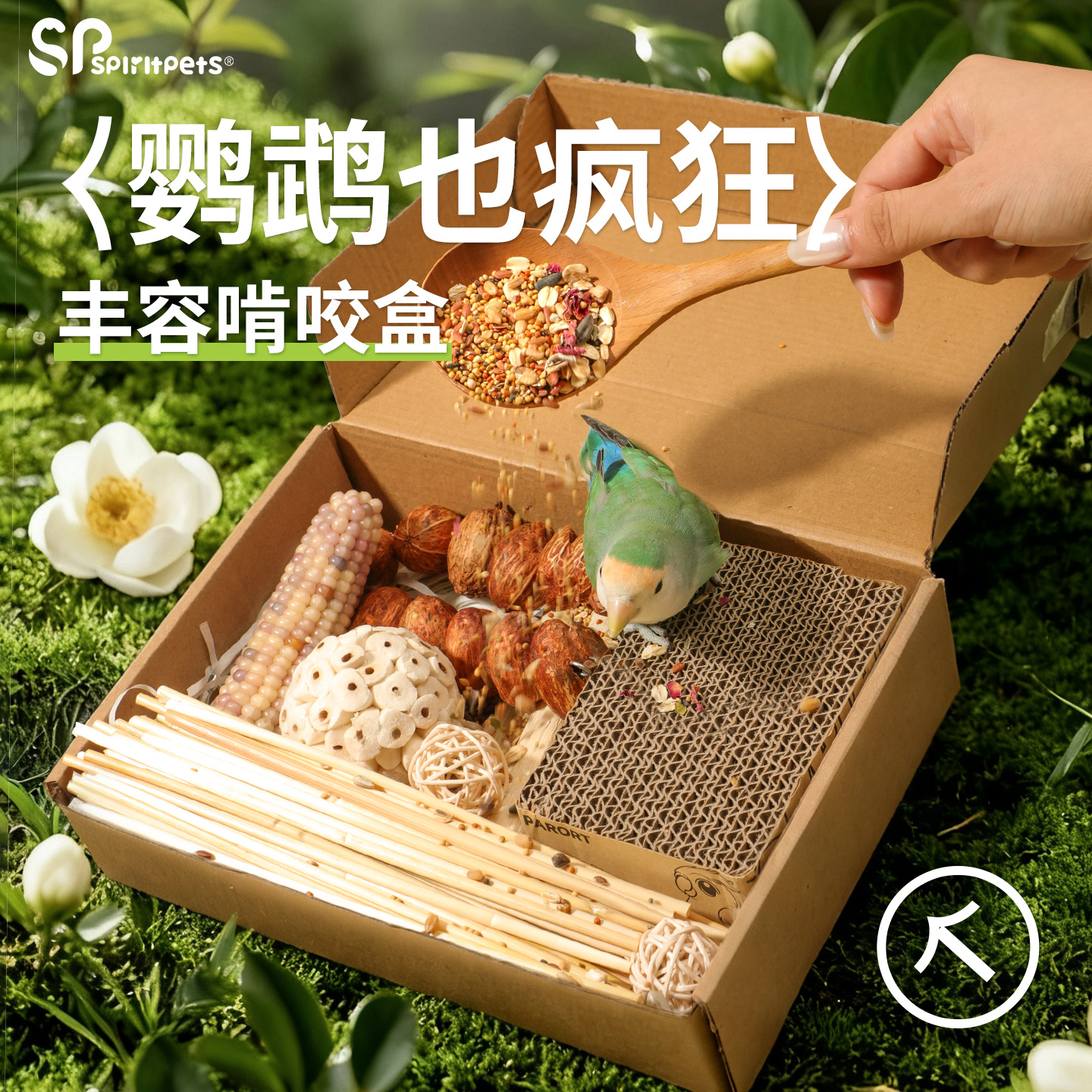 鹦鹉啃咬玩具礼盒小太阳玄凤专用