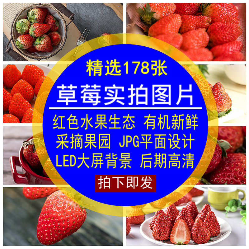草莓实拍图片素材水果红色生态有机新鲜奶油采摘果园JPG平面设计