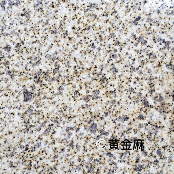 黄金麻花岗岩黄金麻石材大量库存小花园铺地石外墙干挂石锈石