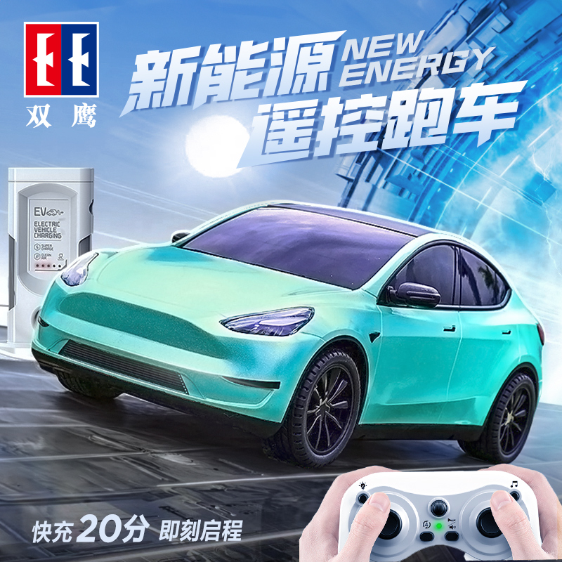 双鹰特斯拉新能源电动跑