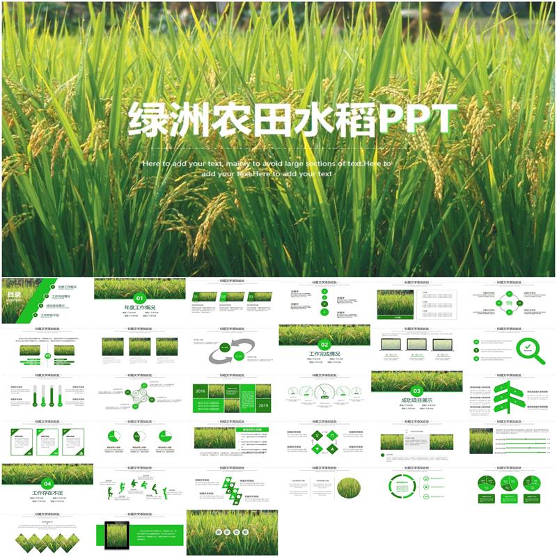 水稻五常绿色有机大米农业丰收ppt模板 稻田中粮农业丰收ppt素材