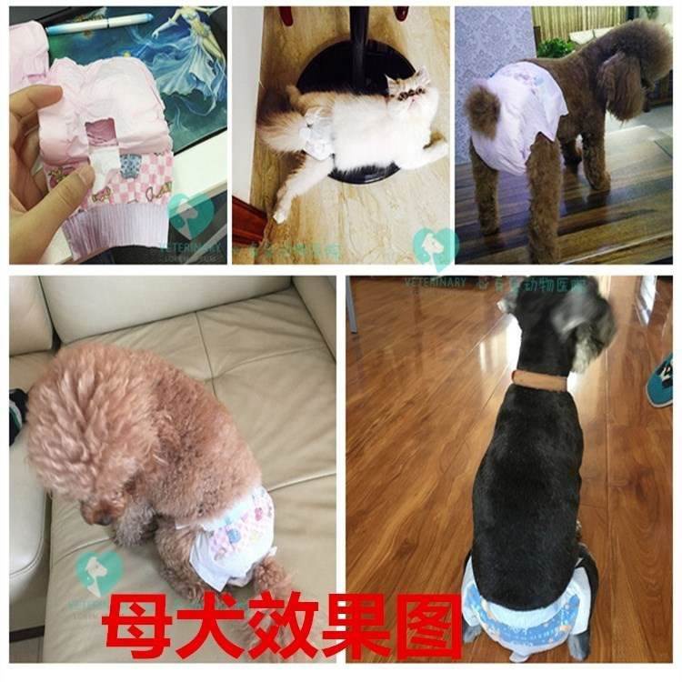 速发D,g pee mat,aPet/ padoUrie,shit Dog dirs  orbet