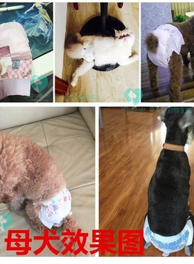 速发D,g pee mat,aPet/ padoUrie,shit Dog dirs  orbet