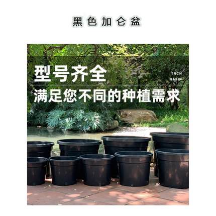 加厚塑料花盆大号透气简约花卉果树通用特大口径圆形黑桶加仑盆