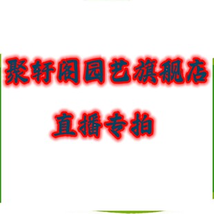 聚轩阁园艺旗舰店直播专拍一物一拍运费邮费补差价需要多少拍多少