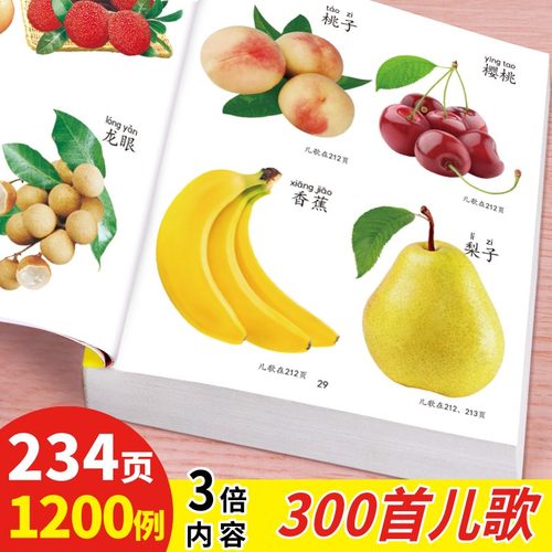 大全看图识字认物卡片婴幼早教书