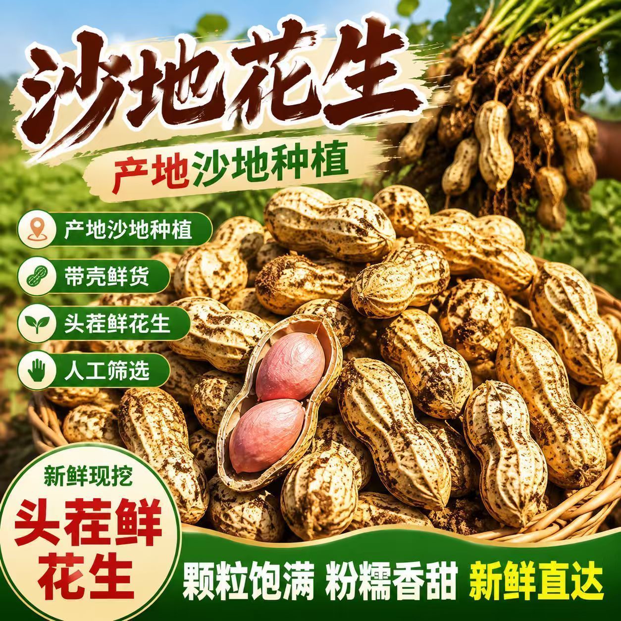 新鲜花生湿花生带泥带壳粉皮多粒