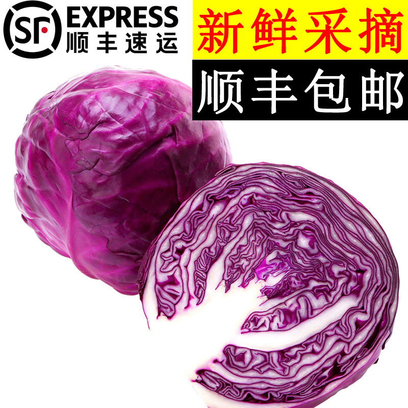 美邻惠享家山东寿光新鲜紫甘蓝卷心菜包菜沙拉顺丰包邮SX009SF 水产肉类/新鲜蔬果/熟食 叶菜类 原图主图