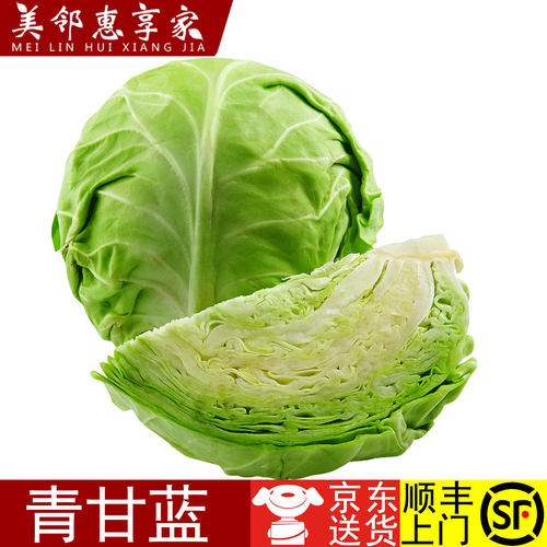 美邻惠享家新鲜青甘蓝现采现发