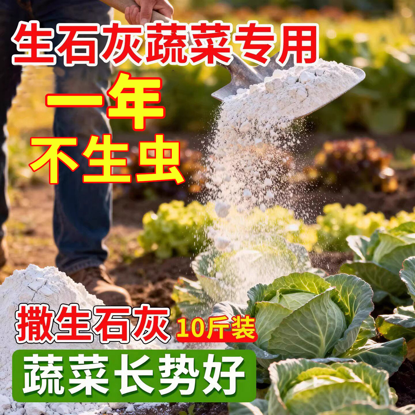 生石灰粉杀虫种菜地高纯度驱蛇农业刷果树木白墙用除湿消毒干燥剂