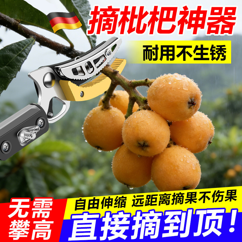 摘枇杷神器果树剪枝专用剪刀锰钢图片