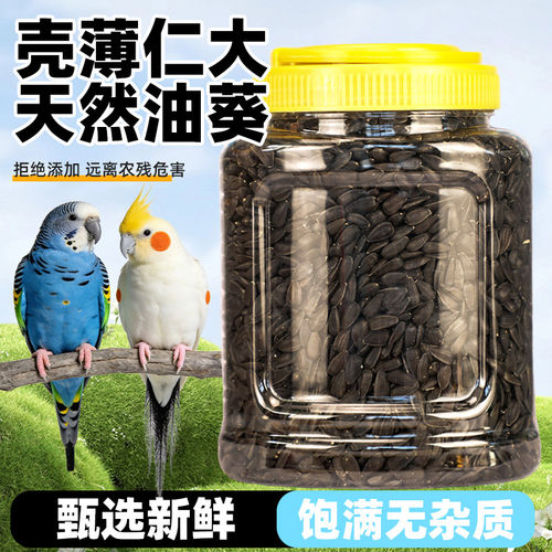 鹦鹉训练小零食油葵小瓜子鸟粮