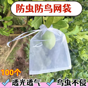 水果套袋防虫防鸟包桃子苹果番石榴梨子专用保护果树套袋子网袋罩
