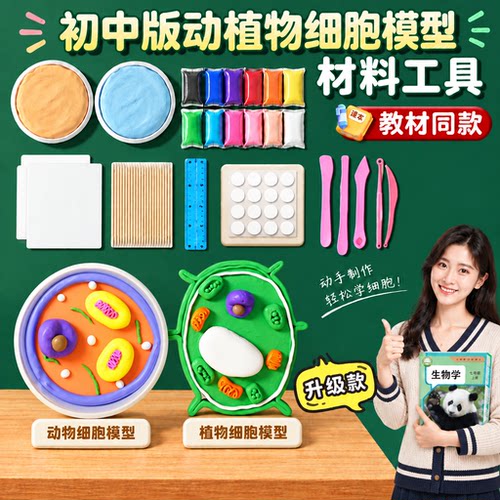 细胞模型手工制作成品