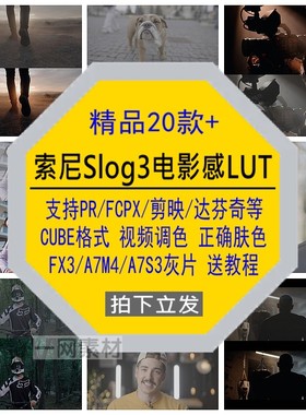 索尼Slog3商业电影感LUT视频调色FX3/A7M4/A7S3灰片素材正确肤色
