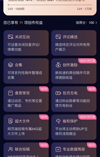 bili哔哩b站up主权益直升lv3(含激励带货联创花火等11项服务)