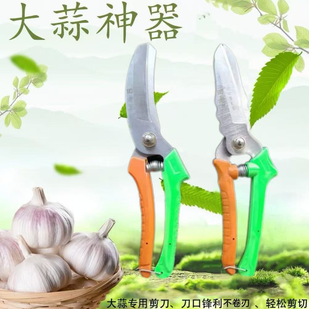 升级大蒜专用高碳钢剪刀多功能