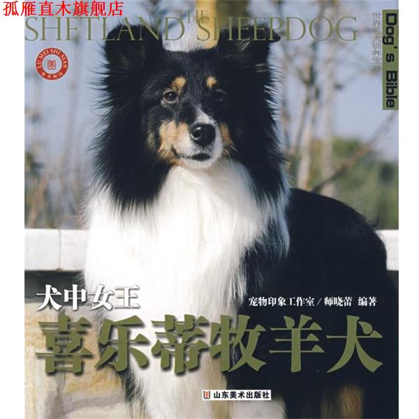 【正版书】 世界名犬驯养宝典-犬中女王 喜乐蒂牧羊犬 师晓蕾 编著 山东美术出版社