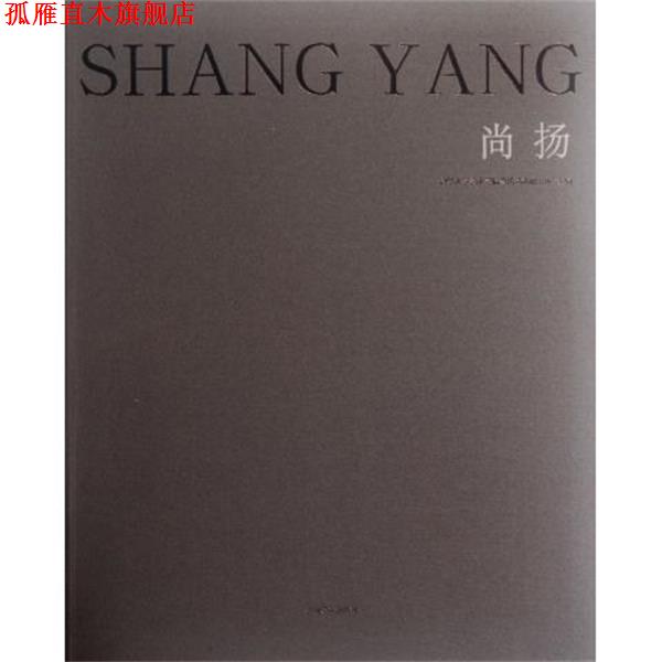 【正版书】 尚扬 清华大学美术学院当代艺术研究所 安徽美术出版社