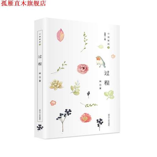 【正版书】 小说家的诗:过程 27年坚守，林白新诗首度结集，达致女性写作新境 林白 辽宁人民出版社