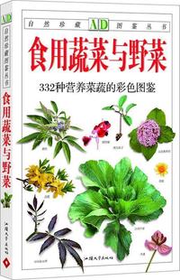 吴棣飞 社 书 汕头大学出版 主编 孙光闻 彩色图鉴 332种营养菜蔬 食用蔬菜与野菜 正版