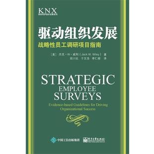 于文浩 书 美 战略性员工调研项目指南 田川农 李仁根 著 驱动组织发展 杰克·W·威利 Wiley 电子工业 译 Jack 正版