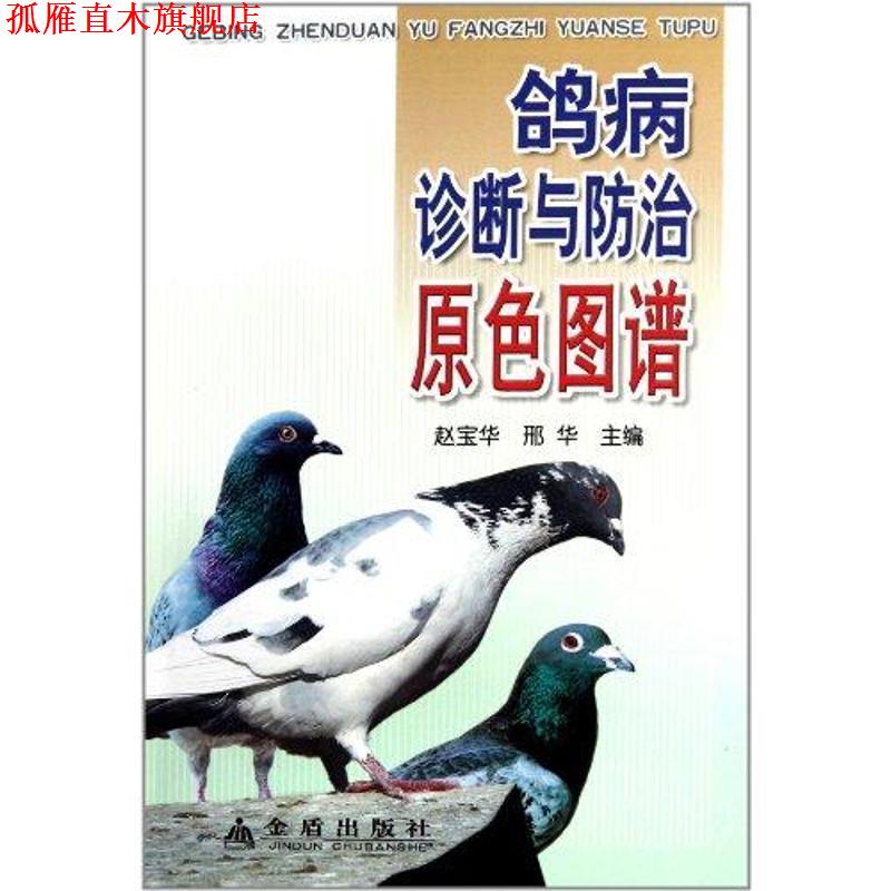 【正版书】 鸽病诊断与防治原色图谱 赵宝华 金盾出版社