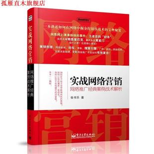 实战网络营销 网络推广经典 电子工业出版 正版 社 著 书 张书乐 案例战术解析