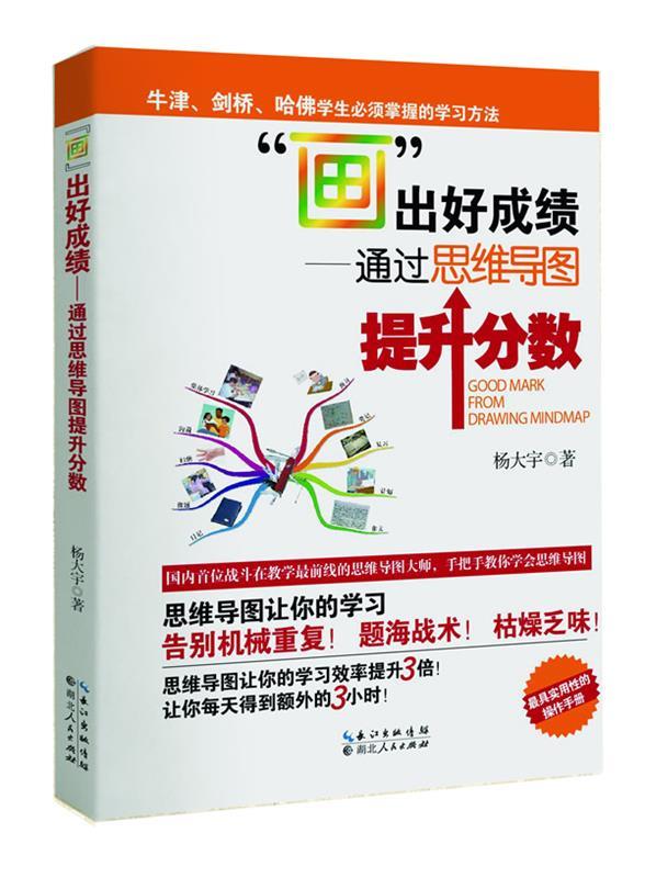 【正版书】 画出好成绩 杨大宇　著 湖北人民出版社