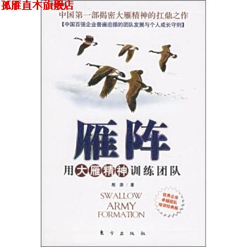 【正版书】 雁阵:用大雁精神训练团队 殷源 著 东方出版社