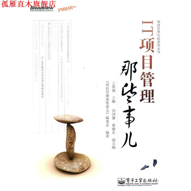 【正版书】 IT项目管理那些事儿 王保强 电子工业出版社