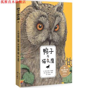【正版书】 鸭子与猫头鹰 (瑞士) 汉娜约翰森 文,(瑞士) 凯蒂班德 图,尤岚岚 译 漓江出版社