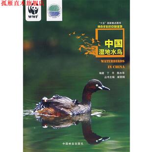 【正版书】 中国湿地水鸟 丁平,陈水华 编著 中国林业出版社