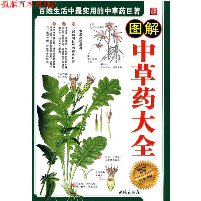 【正版书】 图解中草药大全 李泽亮　编著