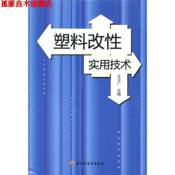 【正版书】 塑料改性实用技术 王文广 编 中国轻工业出版社