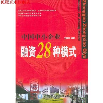 【正版书】 中国中小企业融资28种模式 王铁军 编著 中国金融出版社