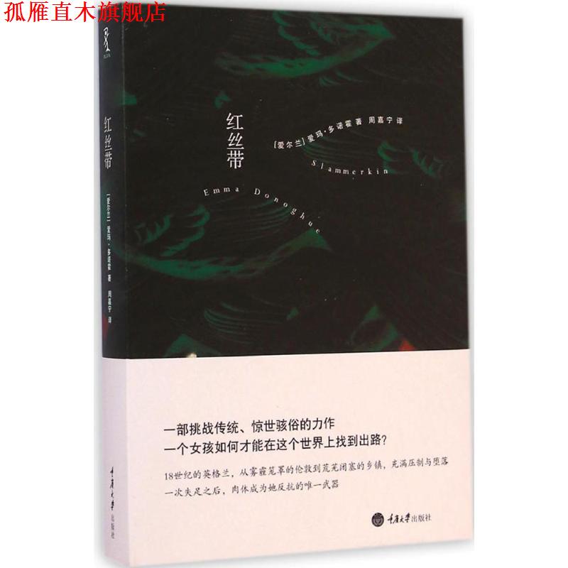 【正版书】 红丝带 (爱尔兰)爱玛·多诺霍 著,周嘉宁 译 重庆大学出版社
