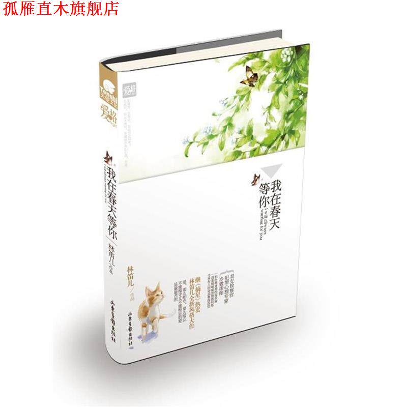 【正版书】 花火我在春天等你 林笛儿 著 山东画报出版社