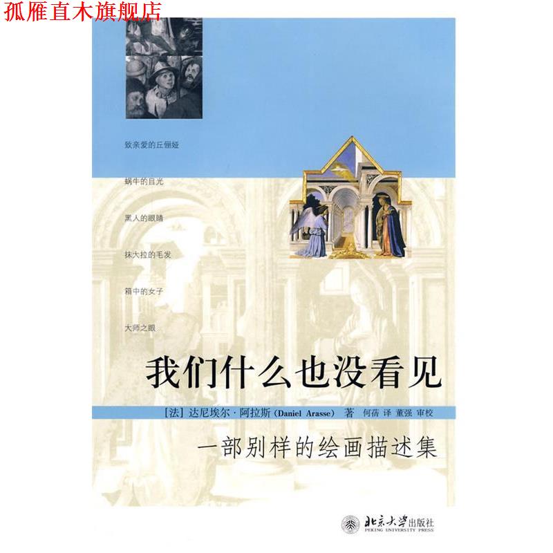 【正版书】 我们什么也没看见:一部别样的绘画描述集 [法]达尼埃尔·阿拉斯(Daniel Arasse) 著,何蒨　译,董强　审校 北京大学出版