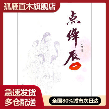 【正版书】点绛唇 王小鹰