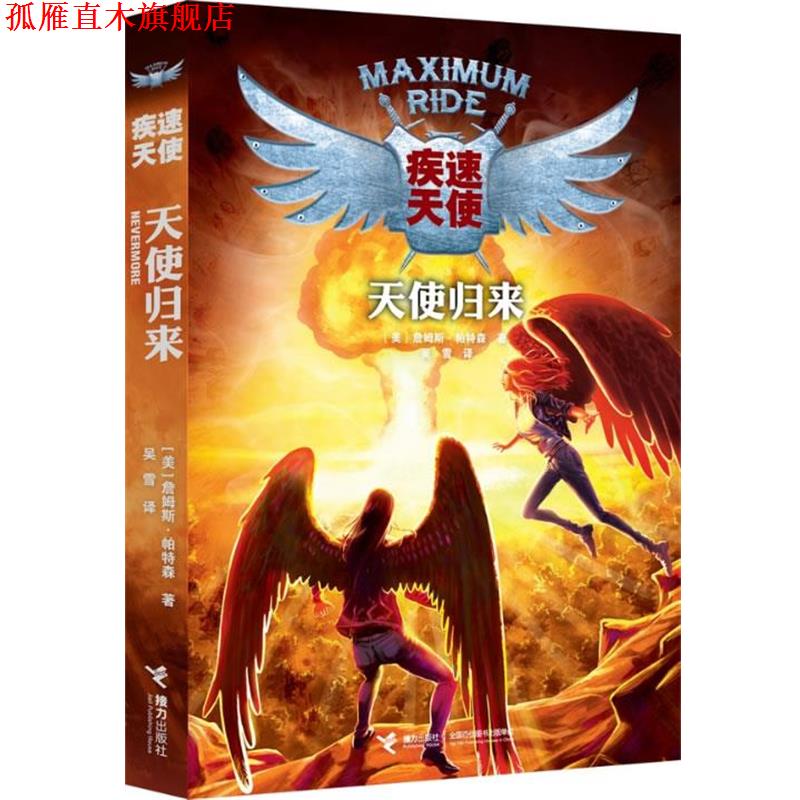 【正版书】 天使归来 [美]詹姆斯帕特森　著,吴雪　译 接力出版社