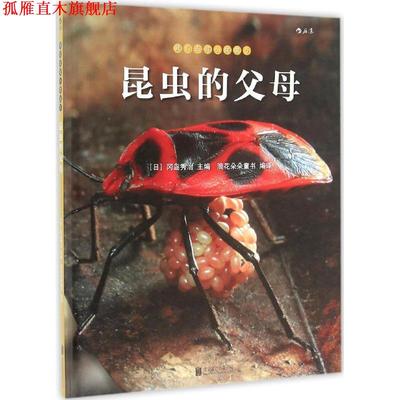 【正版书】 我们去找小昆虫5:昆虫的父母 [日]冈岛秀治 北京联合出版公司